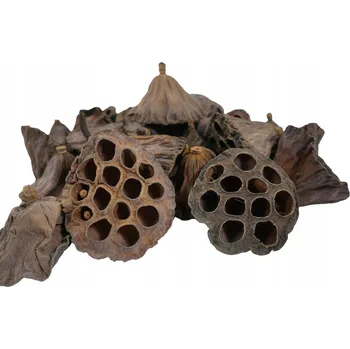 umělá květina Přírodní lotos sušené rostliny exotický 6-8 cm 25 ks