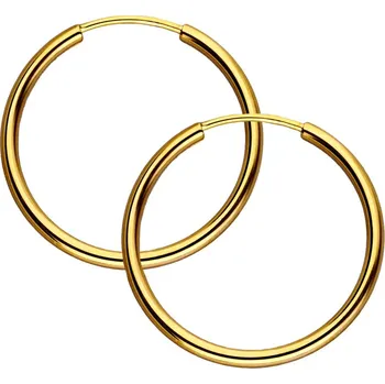 Náušnice Zlaton Náušnice žluté zlato 1.55g 000280205256