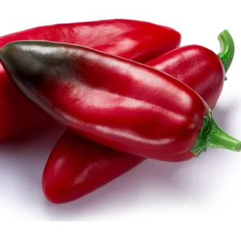 Semeno Chilli Anaheim - Capsicum annuum - semena chilli - 6 ks