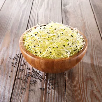 Semeno BIO Cibule - bio semena na klíčení - 15&nbsp;g