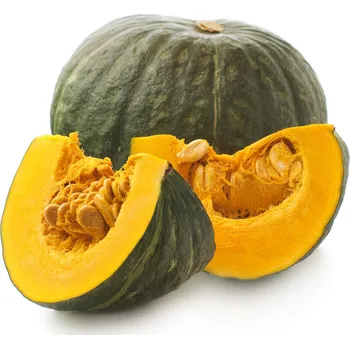Semeno BIO Dýně Zelené Hokkaido - Cucurbita maxima - bio semena dýně - 7 ks