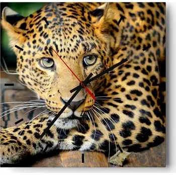 Hodiny Nástěnné hodiny do kuchyně 30x30 Zvířata Stylové hodiny na skle Loft Tiché