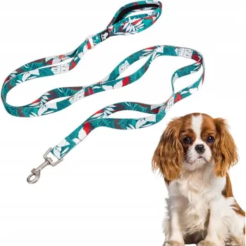 Vodítko pro psa Tradiční páskové Vodítko Truelove 1,4 m