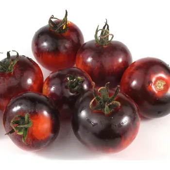 Semeno BIO Rajče Black Zebra - Solanum lycopersicum - bio semena rajčete - 7 ks