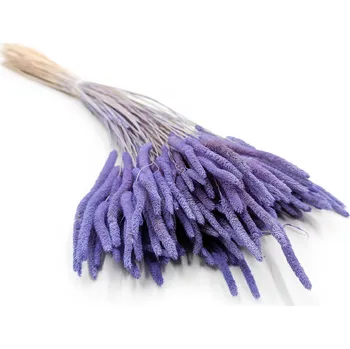 mech-mech.cz Sušený Bojínek luční - Levandulový