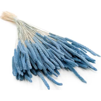 mech-mech.cz Sušený Bojínek luční - Světle modrý