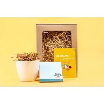 Gardners Dárková sada pro učitele "Zápisník botanika" Fitónie