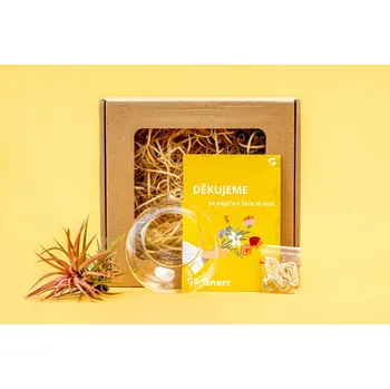 Gardners Dárková sada pro učitele "Vzdušná elegance" Tillandsie, kykatka