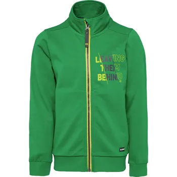 Dámská mikina Dětská mikina LOAP DORAD Green 146-152