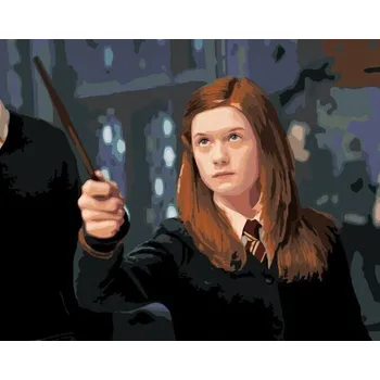 Zuty Malování podle čísel Ginny s hůlkou (Harry Potter)