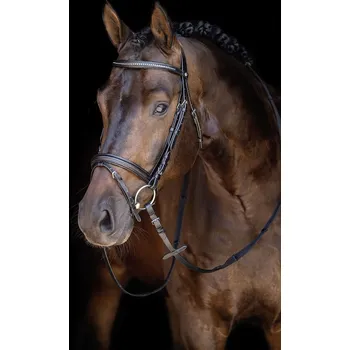 Věšák na sedlo a uzdečku HKM Uzdečka Economic HKM, černá FULL