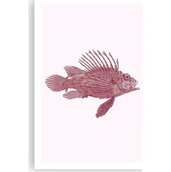 Obraz Obraz plakát do obýváku ložnice 61x91 ryba foto plakáty na zeď bez rámu