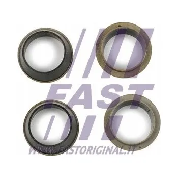 Palivový systém Sada těsnění a vstřikovací tryska FAST FT49843