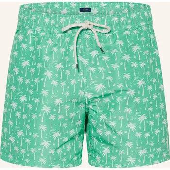 Pánské plavky Polo Ralph Lauren Pánské Koupací Šortky, zelená / bílá, 54/XL