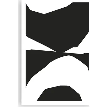 Obraz Obraz plakát do obýváku nebo ložnice 61x91 cm černobílý na zeď bez rámu