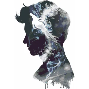 Zuty Malování podle čísel Silueta Newt Scamander (Fantastické zvěře)