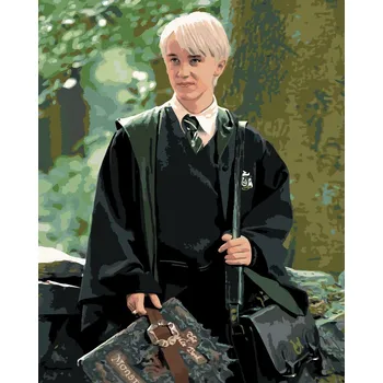 Zuty Malování podle čísel Draco s knihou (Harry Potter)