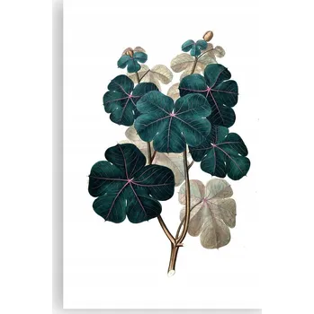 Obraz Obraz plakát do obýváku, ložnice 61x91 cm rostlina plakáty na zeď bez rámu