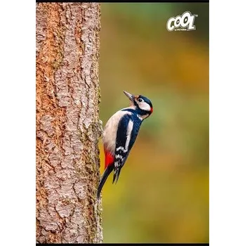 Linkovaný sešit Victoria A4, 80 listů