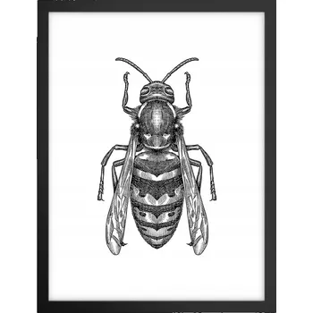 Obraz Obraz plakát v černém rámu do obýváku 30x40 foto plakát na zeď s motivem vosy