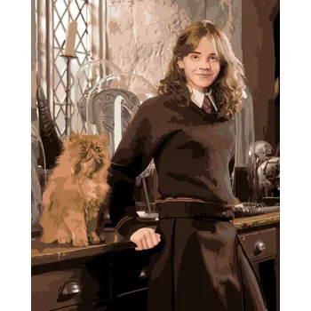 Zuty Malování podle čísel Hermiona a Krivolab ve třídě (Harry Potter)