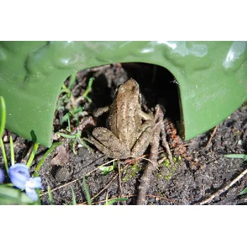 Květináč Skrýš pro žáby 20 cm|Esschert Design