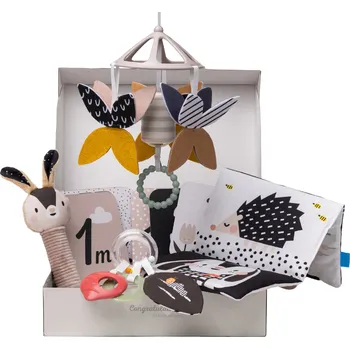 Taf Toys Sada hraček Black&White Kit