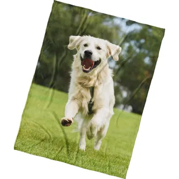 deka Mikroplyšová deka Pes Zlatý Retrívr 150x200 cm