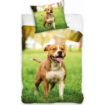 Povlečení Sada povlečení Carbotex 140 x 200 cm, vícebarevné