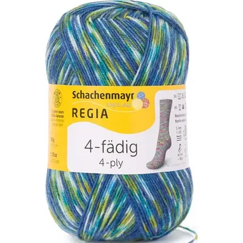 Příze Regia 4-Ply Color 9395 Camping color (Ponožková příze Regia 9395 Camping color)