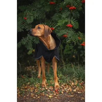 Obleček pro psa REGENERAČNÍ SOFTSHELLOVÝ OBLEČEK PAIKKA 30