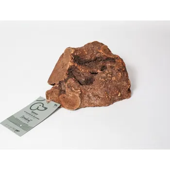 Hračka pro psa KOŘEN STROMU S