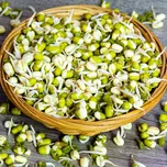 Kiepenkerl Mungo BIO 200 g