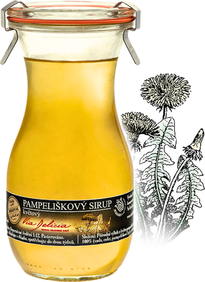 Pampeliškový sirup | Via Delicia