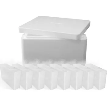 Přírodní věda Suchyled CZ & SK Suchý led bloky 8x2,5kg s Termoboxem Suchý led 8 x blok 210x125x60mm (20kg)