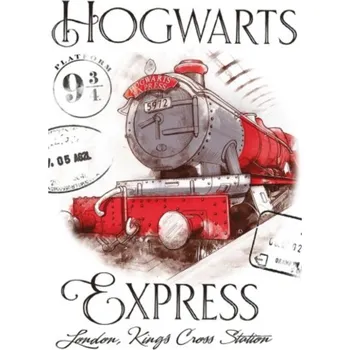 Dětský ručník Harry Potter Bradavický Express