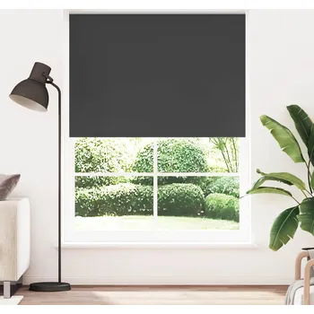 Roleta Zatemňovací roleta 164,4 x 230 cm, šířka látky 160 cm, černá