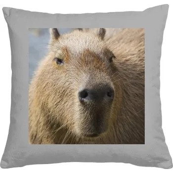 Polštář bavlněný s potiskem Kapybara