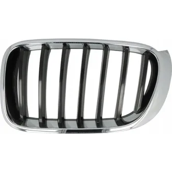 Posilovač řízení Blic 6502-07-00939933P Mřížka chladiče