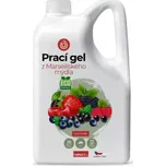 Nanolab Prací gel z Marseillského mýdla pro citlivou pokožku Lesní směs 2 l