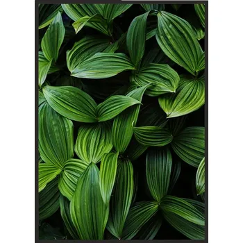 Obraz OBRAZ PLAKÁT V RÁMU 53x73 cm Listy P641