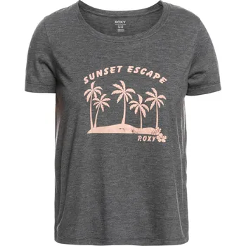 Dámské tričko Dámské Tričko s krátkým rukávem ROXY CHASING THE WAVE ERJZT05666-KVJ0 – Šedá M