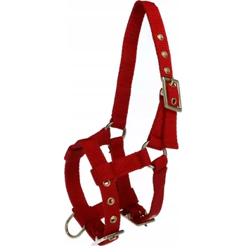 IP kamera Uzda Ekkia 0 červený