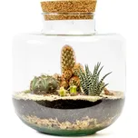 Gardners Skleněná dóza Arnica s korkovým špuntem, 21x19 cm - osázené suchomilné