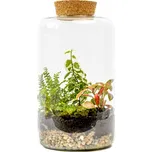 Gardners Skleněná dóza Paeonia s korkovým špuntem, 25x15 cm - osázené vlhkomilně