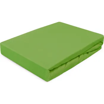 Prostěradlo Prostěradlo jersey s gumou kaktus 033/110/120x200 Darymex