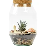 Gardners Skleněná dóza Verbena s korkovým špuntem, 22x14 cm - osázené suchomilné