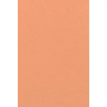 Filc 20x30 cm - barva kůže