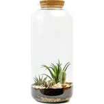 Gardners Skleněná dóza Lonicera s korkovým špuntem, 51x23 cm - osázené suchomilné