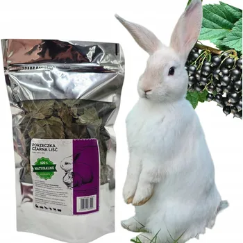 Krmivo pro hlodavce LIST ČERNÉHO RYBÍZU BYLINKY PRO KRÁLÍKA HLODAVCE PŘÍRODNÍ ČERSTVÁ PAMLSEK 80G